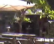 BRUNSWICK GREEN COURTYARD